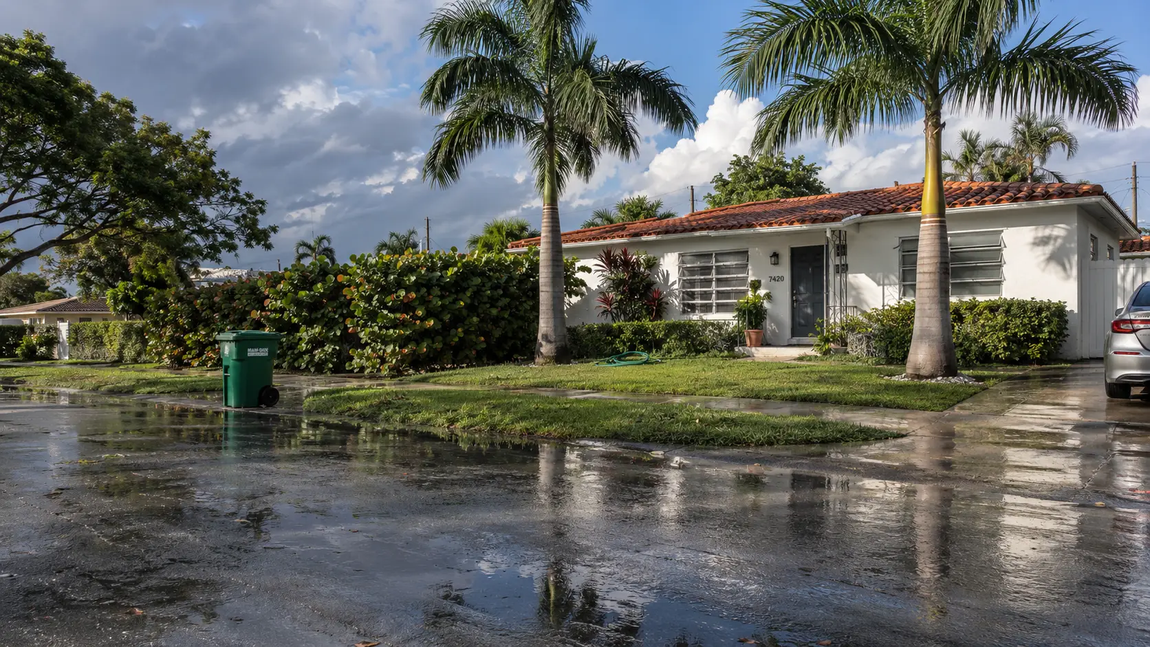 A white stucco Miami house with a barrel-tile roof and royal palms, its street still wet after an afternoon storm